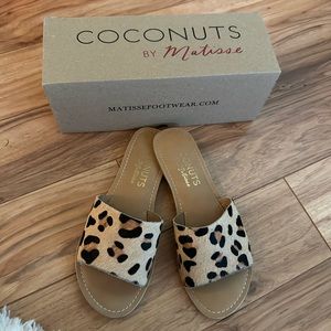 Coconuts by Matisse, size 7! Slip on cheetah